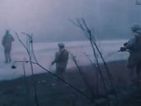 Şehirden sahil hattına göçmen kaçakçılığına darbe! 155 gözaltı