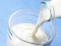 Ünlü süt ve peynir devi iflasın eşiğinde!