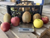 Bursa'da üretilen dev kivilere büyük ilgi! Dördü bir kilogram geliyor