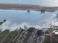 Bursa'da milyonluk yarış atları su altında kaldı