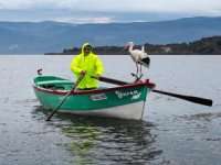 Gelen leylek Nazlı değil, Yaren'miş