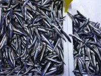 Savaş halindeki ülke ihracatta ilk sırayı aldı