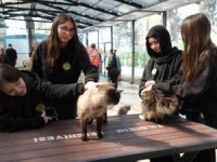 Gençlerden patili canlara ziyaret