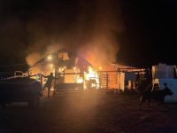 Bursa'da çiftlikte yangın! 580 hayvan telef oldu