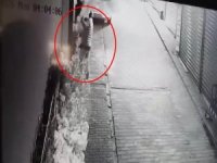 Bursa'da süs ağacını söküp kayıplara karıştı