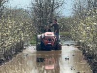 Bursa'da meyve bahçeleri su altında kaldı