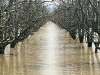 Bursa'nın dağı ovası suyla doldu