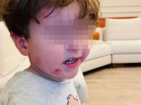 Bursa'da kreşte dayak iddiası!