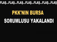 Bursa'da dev pkk operasyonu