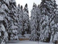 Uludağ’da kış geri dönüyor! Mayısta kar sürprizi yaşanacak