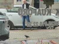Bursa'da kuaföre dadanan karga, gündem oldu