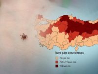 Türkiye'de kene alarmı! Temmuz-Ağustos için kritik uyarı...