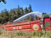 Bursa’da ormanlık alanda korkutan yangın!