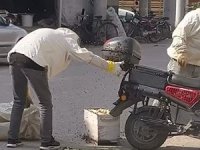 Bursa'da arılar motosiklette oğul verdi