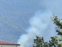 Kestel’de orman yangını