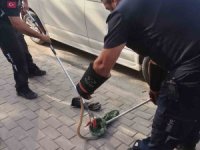 Minibüsün Motorundan Yılan Çıktı!