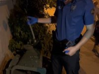 Kavgaya oyuncak kılıçla gelmişler!