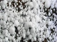 Don üzüm bağını vurdu, 50 ton üzüm kaldıran üreticinin rekoltesi 10 tona düştü