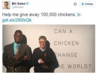 Bill Gates'ten Afrika'ya "100 bin tavuk"