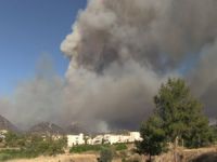 Güney Kıbrıs’ta orman yangın