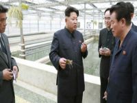 Kim Jong-un çiftlik sahibini idam ettirdi