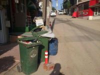 Osmangazi'de çöp rezaleti