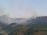 Tunceli’deki orman yangını sürüyor