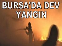 Bursa'da dev yangın...