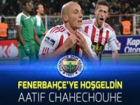 Fenerbahçe'nin yeni yıldızı