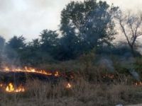 Bursa'da iki orman yangını