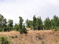 Polise roketli saldırı