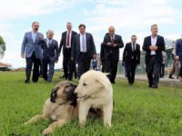 Vali küçük ilçe ziyaretlerini sürdürüyor