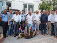 Karaisalı paşasını karşıladı