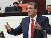 CHP'li İrgil'den 'yerel basına destek' çağrısı