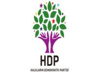 HDP'den kınama