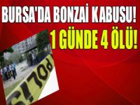 Bursa'da bonzai faciası! 4 ölü!