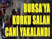 Bursa'da yakalandı