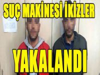 Suç makinesi tek yumurta