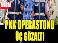 PKK operasyonu!