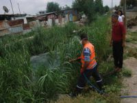 Haşereyle mücadele çalışması