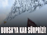 Bursa'ya kar sürprizi