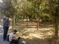 Danıştay üyesi göğsüne ateş edip canına kıydı