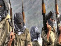 PKK'ya son yılların en büyük darbesi