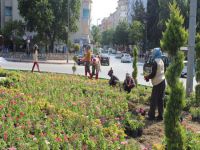 Hatay Büyükşehir Belediyesi kavşakları çiçeklendiriyor