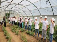 Bursa'da lider çocuk tarım kampı