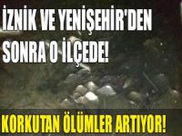 Bursa'da kokutan ölümler!