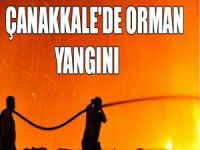 Çanakkale'de yangın