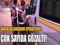 Jandarmadan operasyon! 14 gözaltı