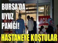 Bursa'da uyuz paniği!