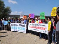 Bursa'da balık ölümlerine protesto
